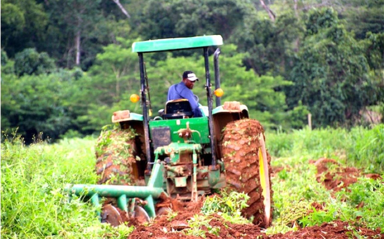 L’avenir agroalimentaire de l’Afrique est dans les mains des jeunes